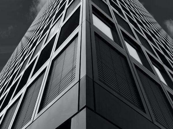 ricardo gomez angel 8oRCwrBn Fc unsplash min